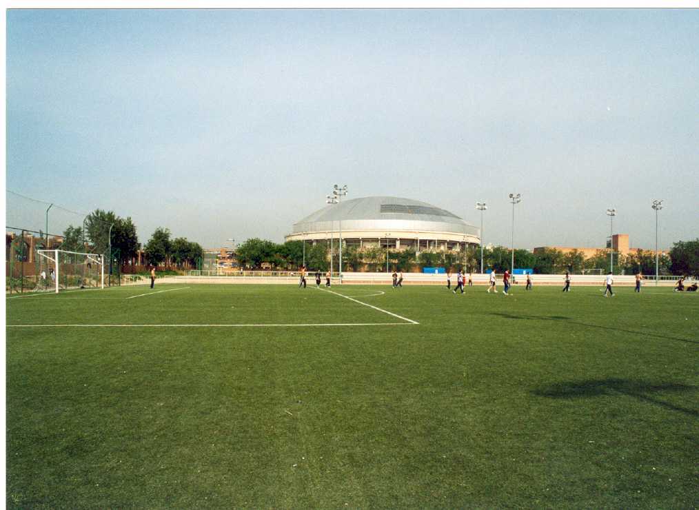 Polideportivo Julián Montero