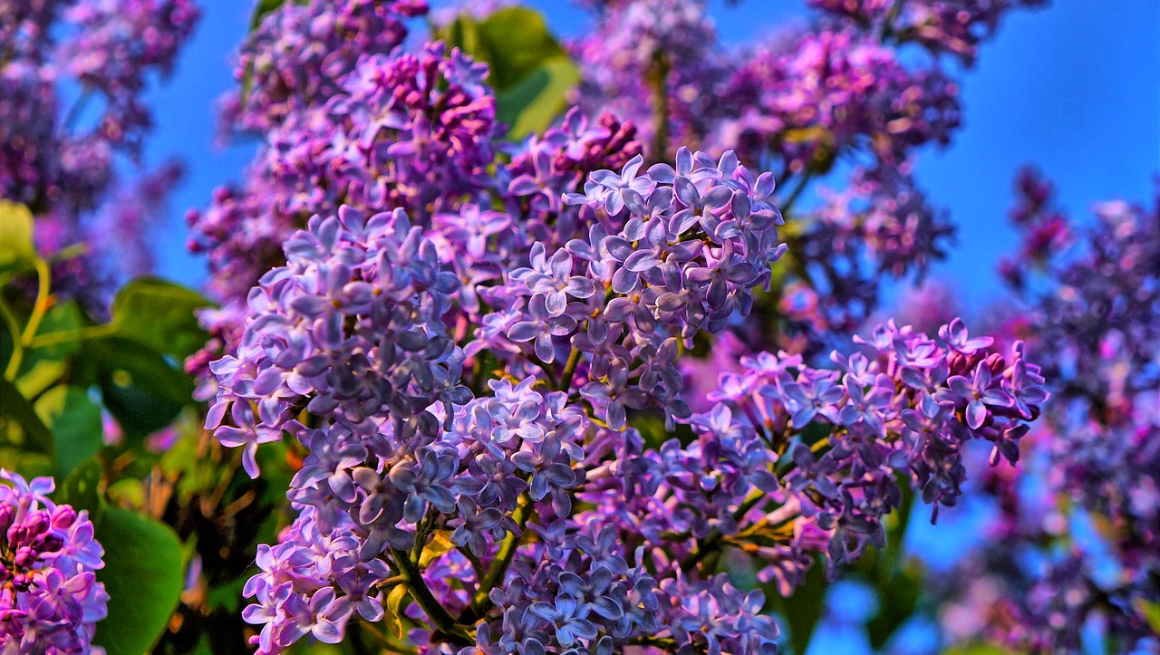 Memoria MedioAmbiente 2022