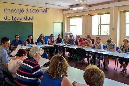 Consejo Sectorial Igualdad