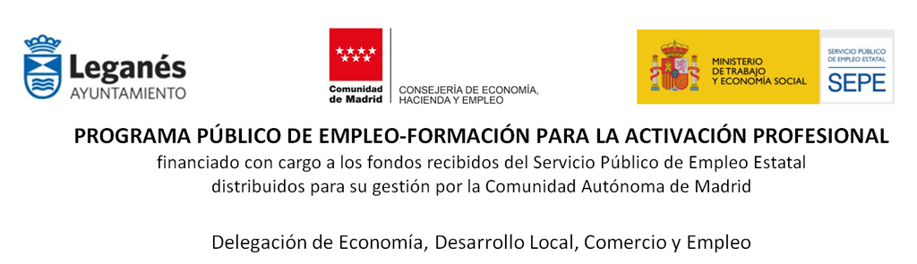 PROGRAMA PÚBLICO DE EMPLEO-FORMACIÓN PARA LA ACTIVACIÓN PROFESIONAL (2025)