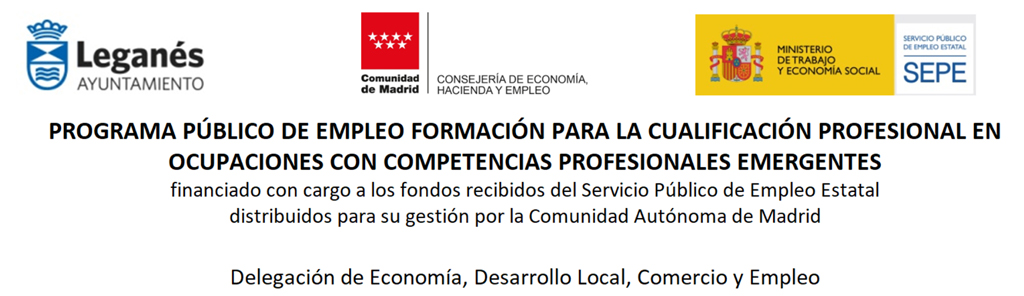 PROGRAMA PÚBLICO DE EMPLEO-FORMACIÓN PARA LA ACTIVACIÓN PROFESIONAL (2024)