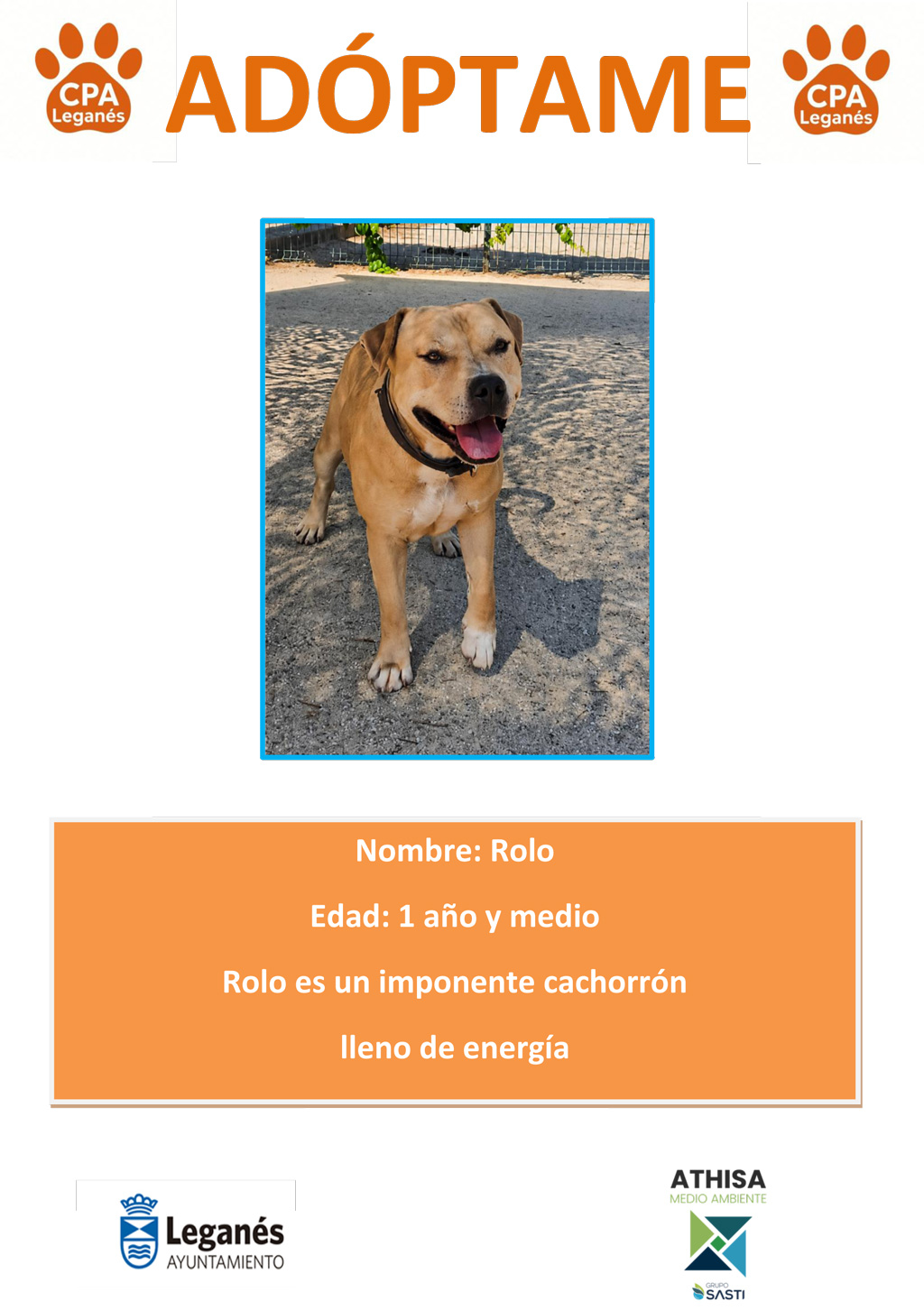 Rolo