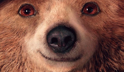 Cine Paddington “Aventura en la selva”