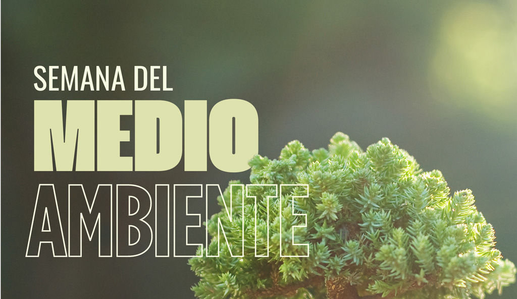 Programa Semana del Medio Ambiente 2026