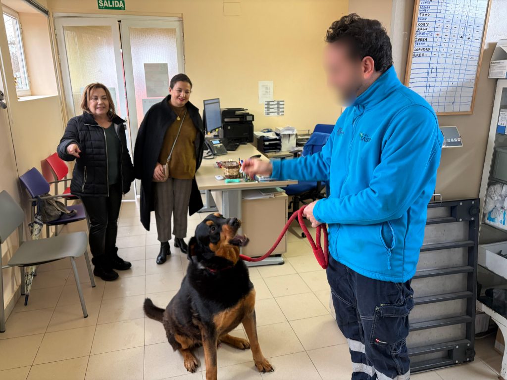 Leganés mejora su Centro de Protección Animal con una nueva reforma