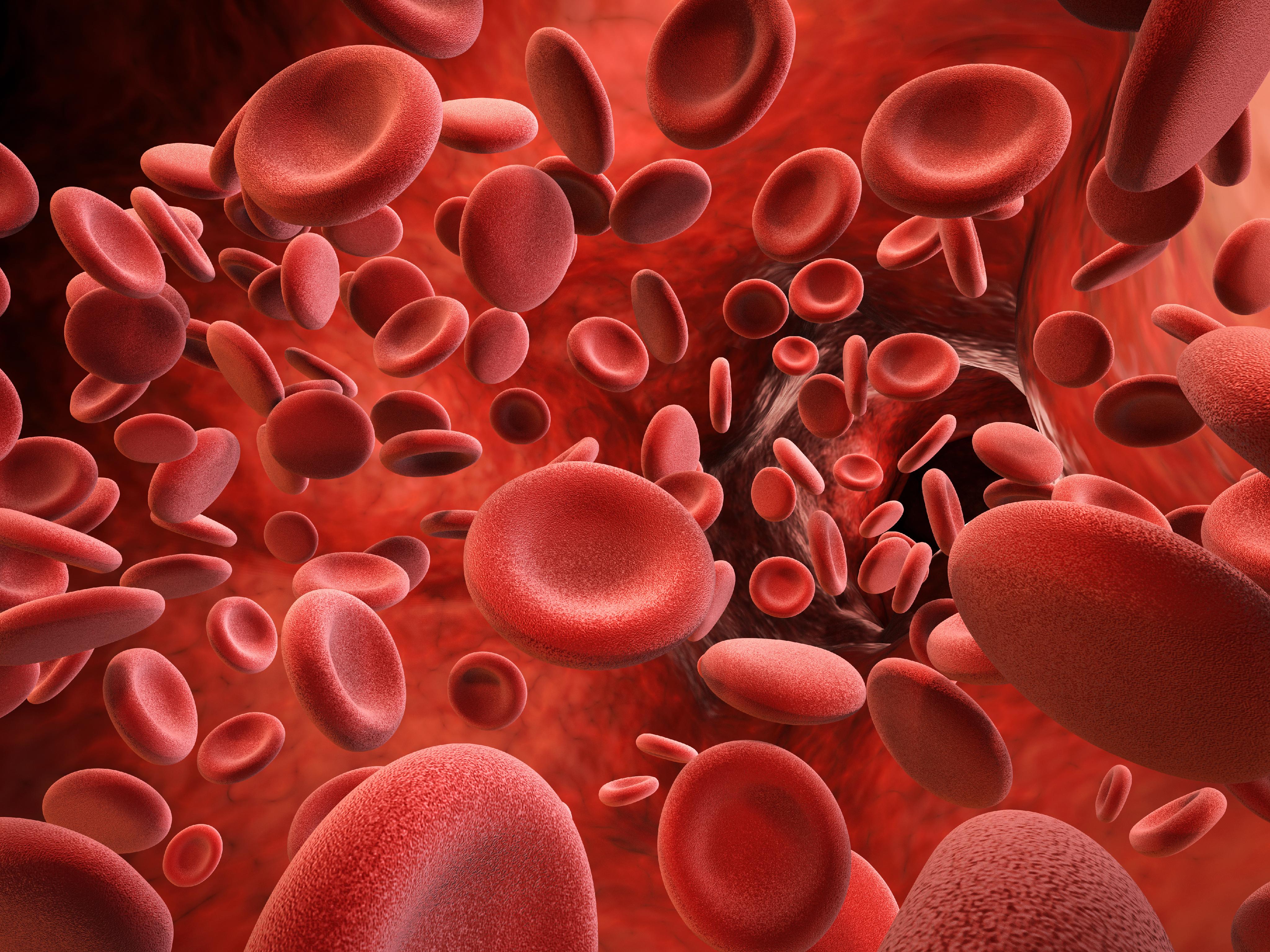 DÍA MUNDIAL DE LA HEMOCROMATOSIS